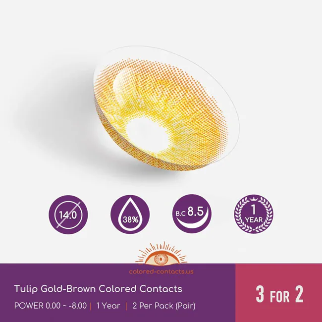 Tulip Gold-Brown Colored Contacts - Ccus Eyewear · Premium Colored Contacts Tulip Gold-Brown Colored Contacts