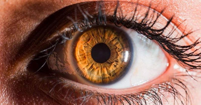 Hazel Eyes