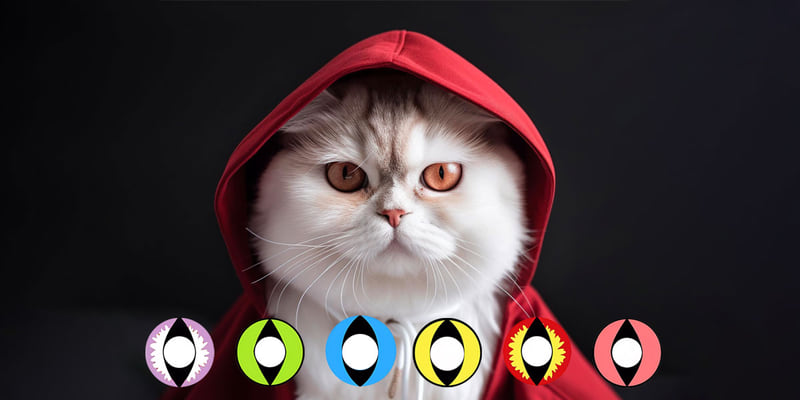 Discover The Allure Of Cat Eye Contacts - Ccus Eyewear · Premium Colored Contacts Discover The Allure Of Cat Eye Contacts Cat Eye Contacts
