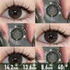 Chocolate Enigma Brown Contact Lenses