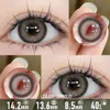 Toffee Pudding Brown Contact Lenses