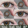 Maple Sugar Brown Contact Lenses - Ccus Eyewear · Premium Colored Contacts Maple Sugar Brown Contact Lenses