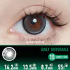 Starry Whisper Grey Contact Lenses - Ccus Eyewear · Premium Colored Contacts Starry Whisper Grey Contact Lenses