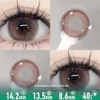 Rose Mist Beauty Contact Lenses