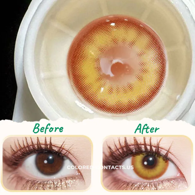 Golden Amber Contact Lenses | 4-Lens Pack