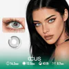 Provence Moon Grey Contact Lenses