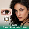 Rain Milan Chestnut Brown Contact Lenses - Ccus Eyewear · Premium Colored Contacts Rain Milan Chestnut Brown Contact Lenses