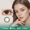 Milan Sandalwood Brown Contact Lenses - Ccus Eyewear · Premium Colored Contacts Milan Sandalwood Brown Contact Lenses