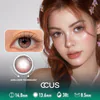 Malibu Summer Praline Brown Contact Lenses