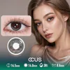 Summer Milan Chestnut Brown Contact Lenses