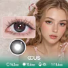 Dollhouse Smoke Grey Contact Lenses