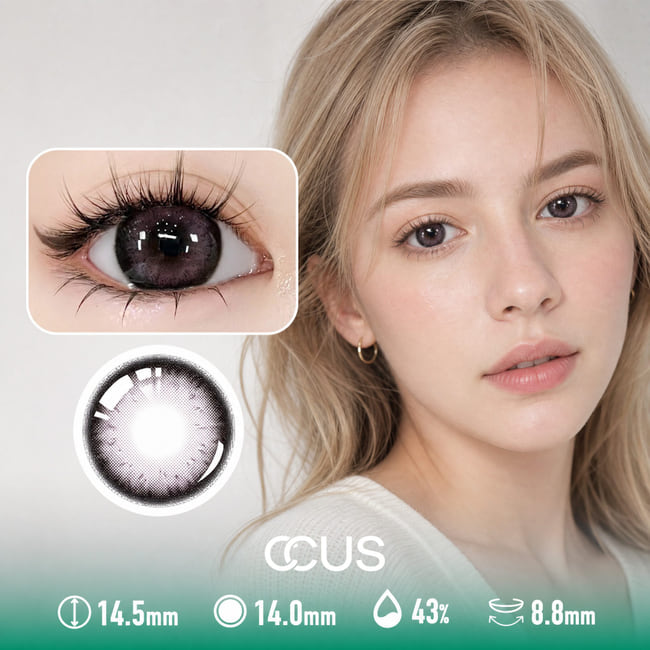 Provence Grape Purple Contact Lenses