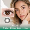 Sunroom Caramel Brown Contact Lenses - Ccus Eyewear · Premium Colored Contacts Sunroom Caramel Brown Contact Lenses