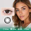Winter Bruges Grey Contact Lenses