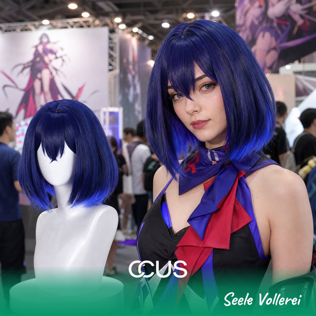 HI3rd : Seele Vollerei Cosplay Wig